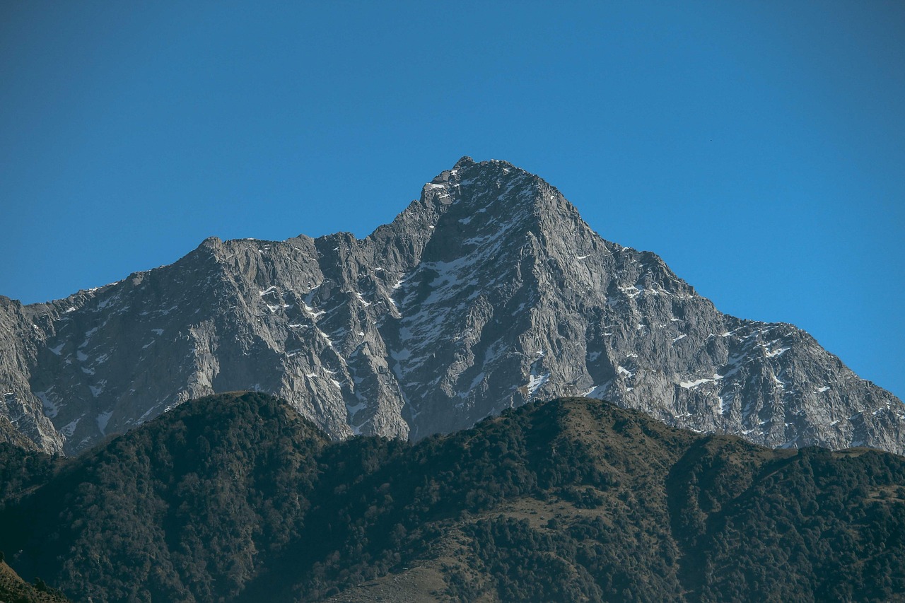 best hostels in McLeodganj