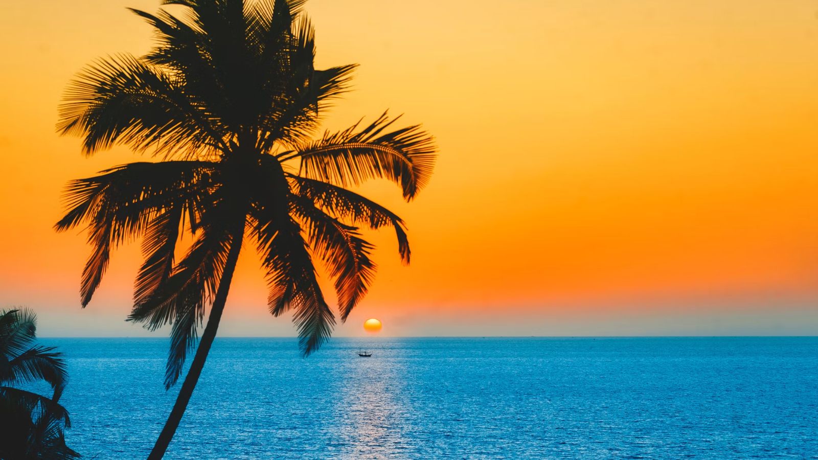 Old Goa 1 Day Walking Tour