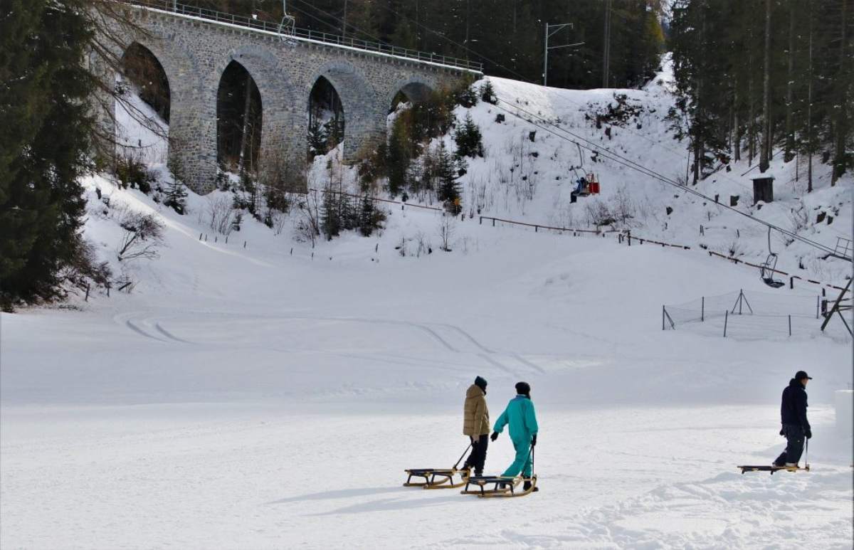 Sledding