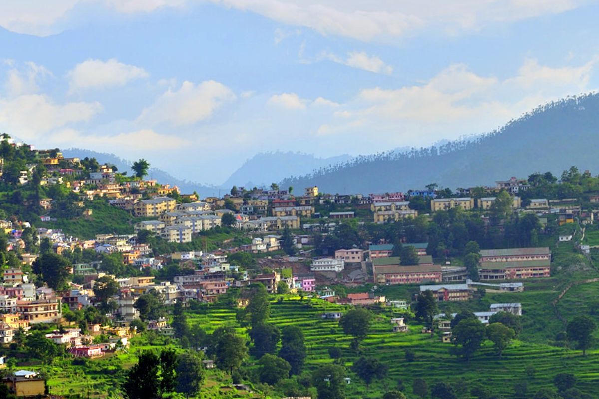 homestays in chail