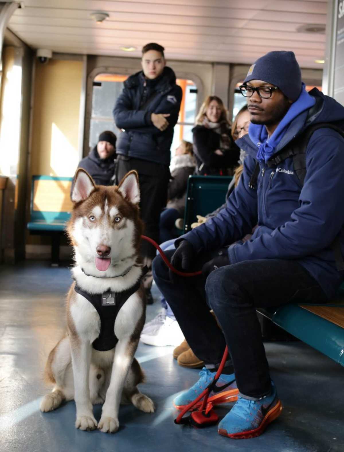 Where Will Your Pets Travel In Train