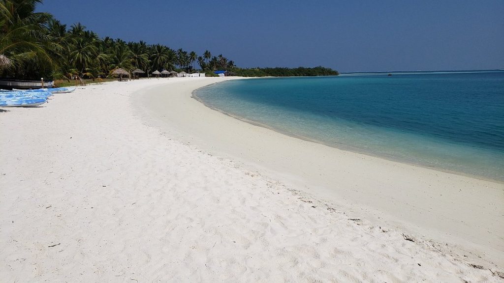 Photo Credits: Tripadvisor