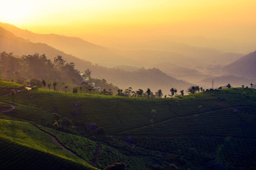 Best Hotels In Munnar Under 10,000