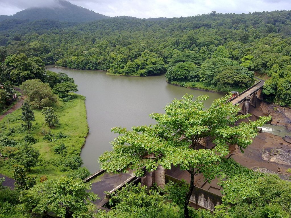 Exciting Things To Do In Thekkady