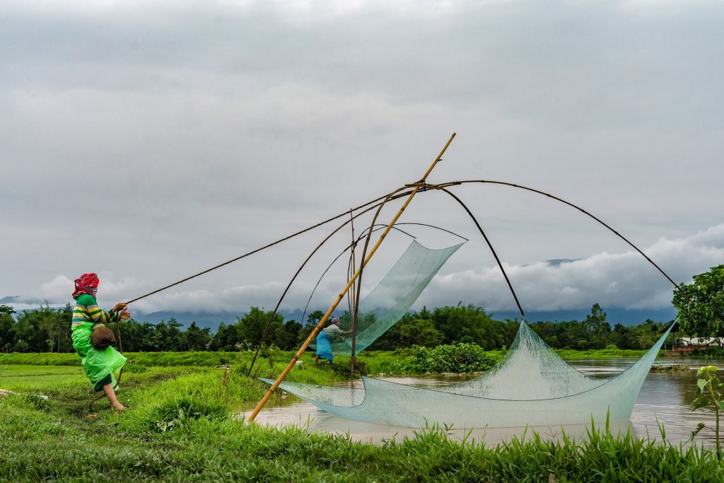 Experience The Floating National Park Of India