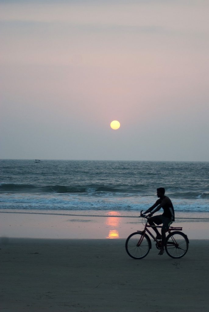 goa feature