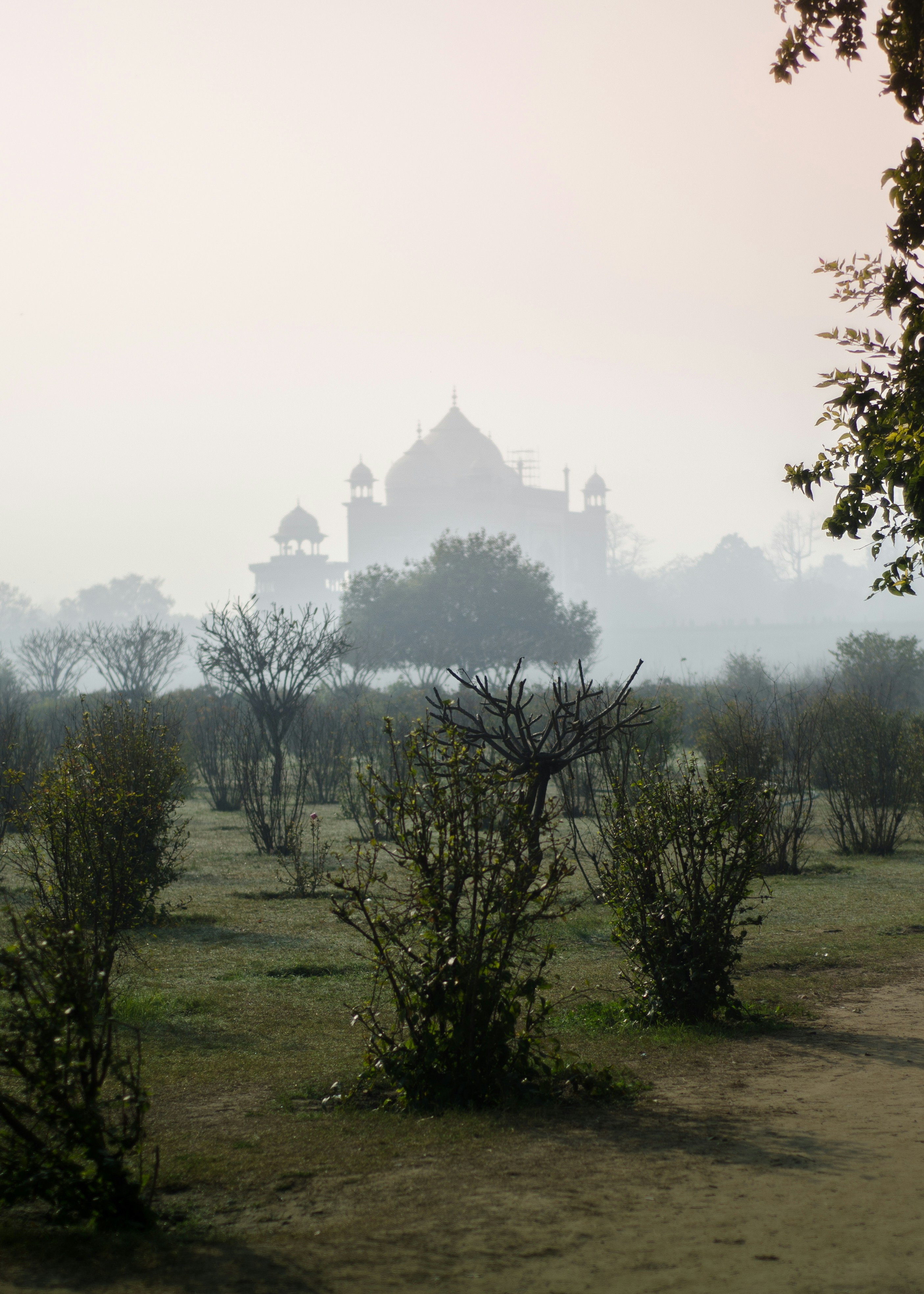 10 Luxury Hotels In Agra