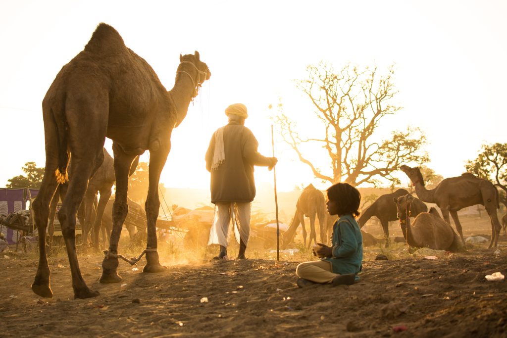 Slow Travel In Rajasthan