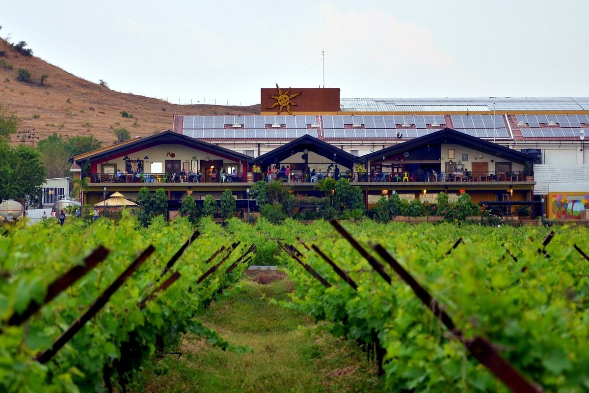 A Day At Sula Vineyards