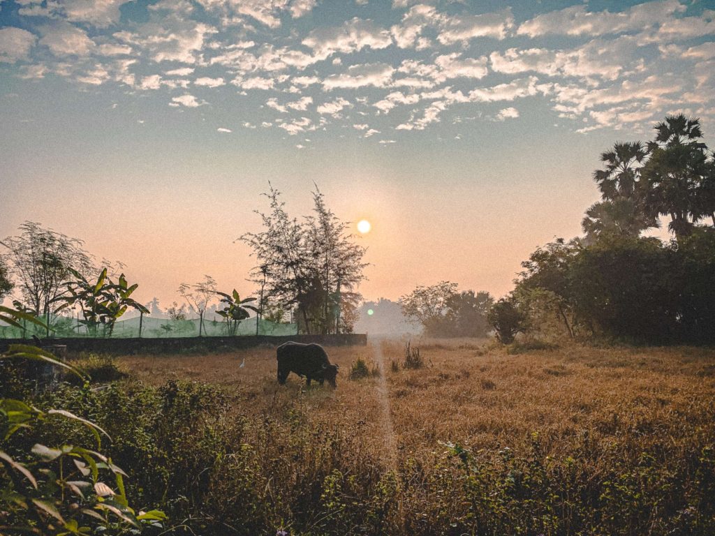 Exploring The Vasai Fort