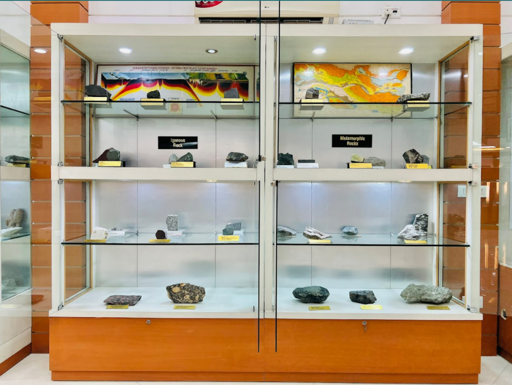 Wadia Institute Of Himalayan Geology Museum