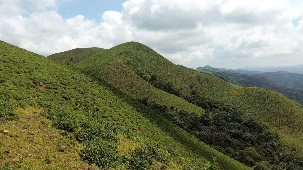 Coorg In Summer