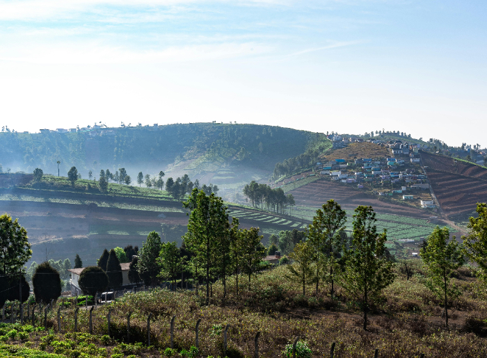 Ooty - Winter In South India