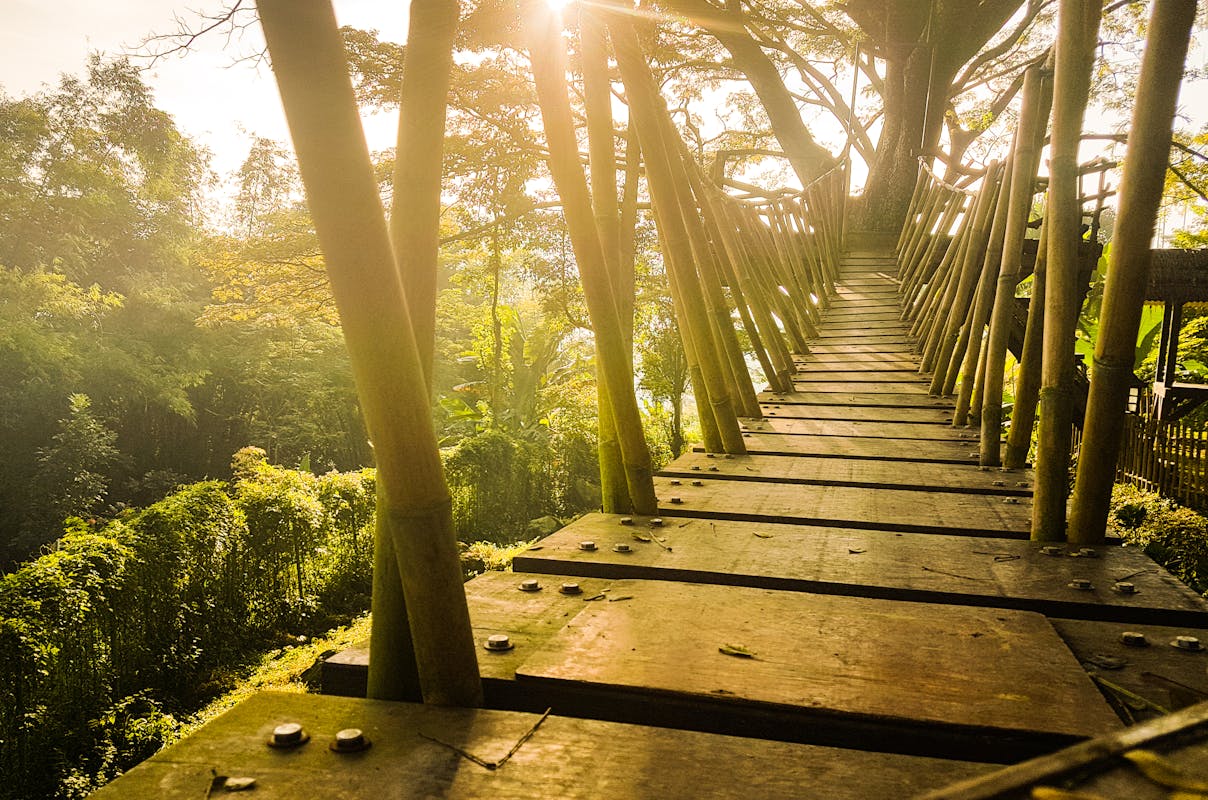 Mumbai’s Elevated Forest Walkway