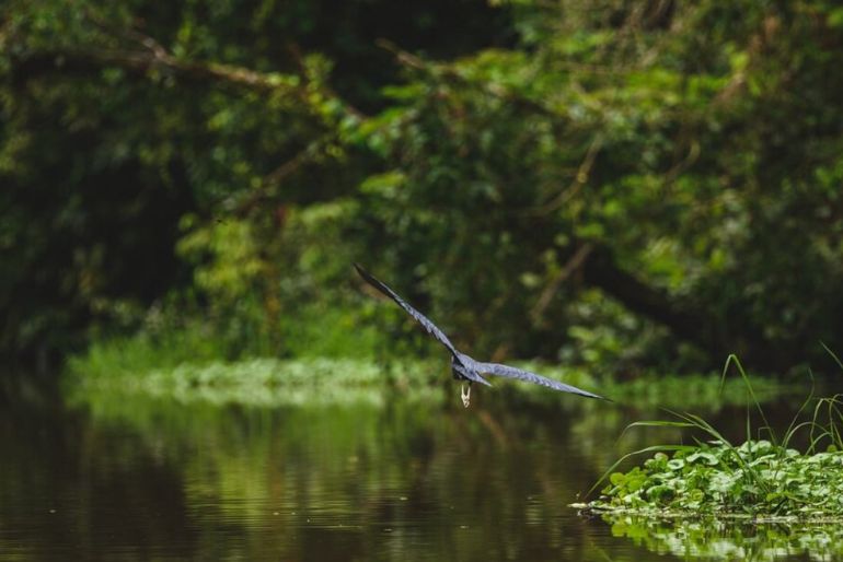 best time to visit wildlife sanctuaries (2)