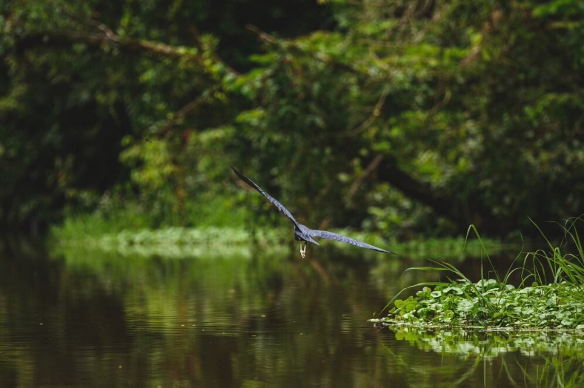 monsoon wildlife sanctuaries