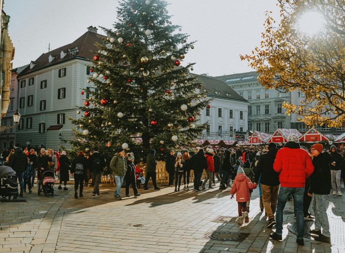 Vienna Christmas market