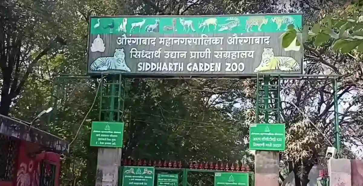 siddharth garden and zoo