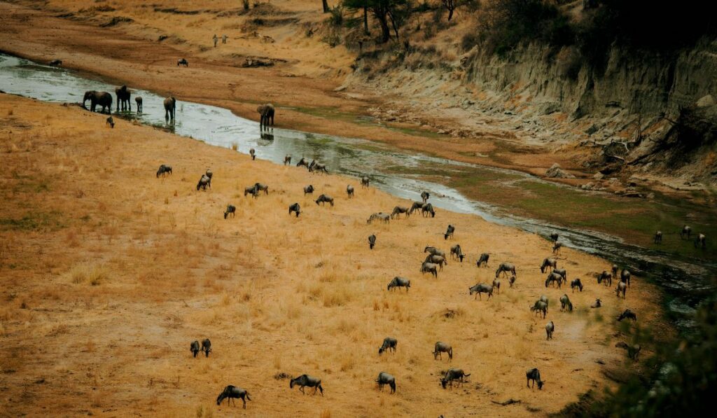 travel tips wildlife sanctuaries india
