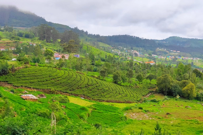Best Places For Camping In Tamil Nadu