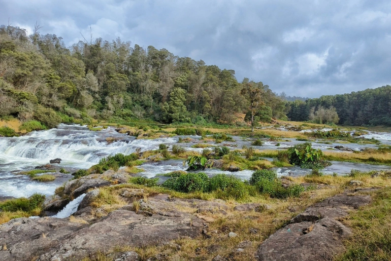 Best Places For Camping In Tamil Nadu