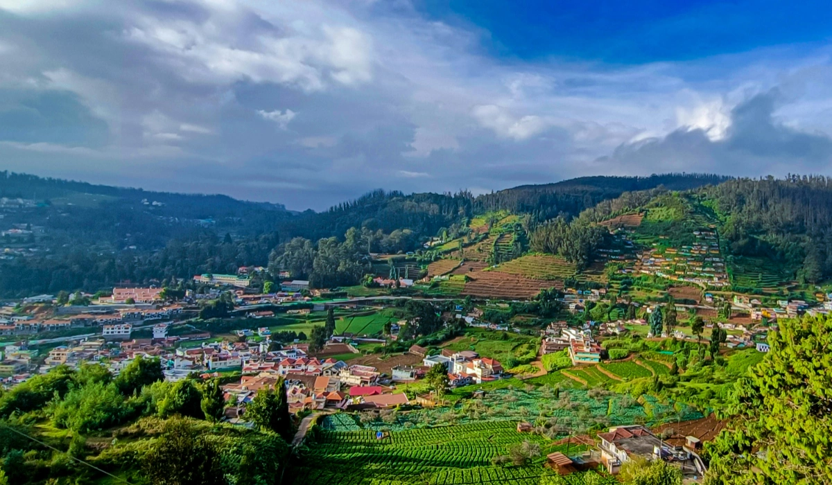 Best Tree Houses Near Ooty: Experience Nature's Beauty In The Nilgiris