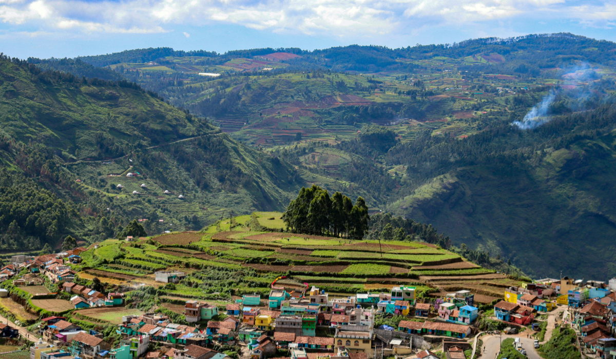 Green Valley View Point