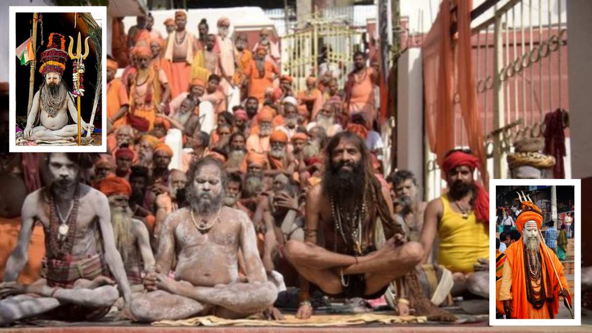 how do naga sadhus live