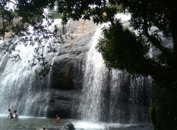 Scenic Kerala landscape featuring green hills, backwaters, and palm trees on a 7-day Kerala itinerary.