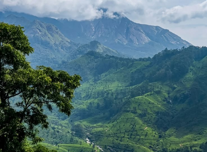 Scenic Kerala landscape featuring green hills, backwaters, and palm trees on a 7-day Kerala itinerary.