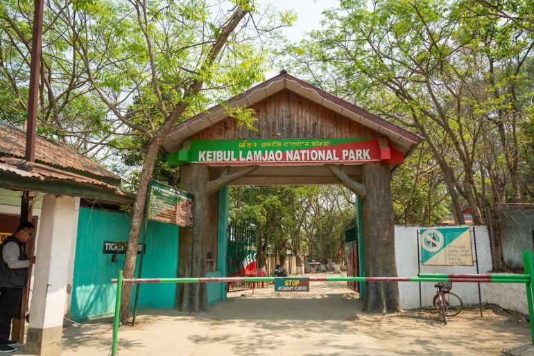 Experience The Floating National Park Of India 1 floating national park of India