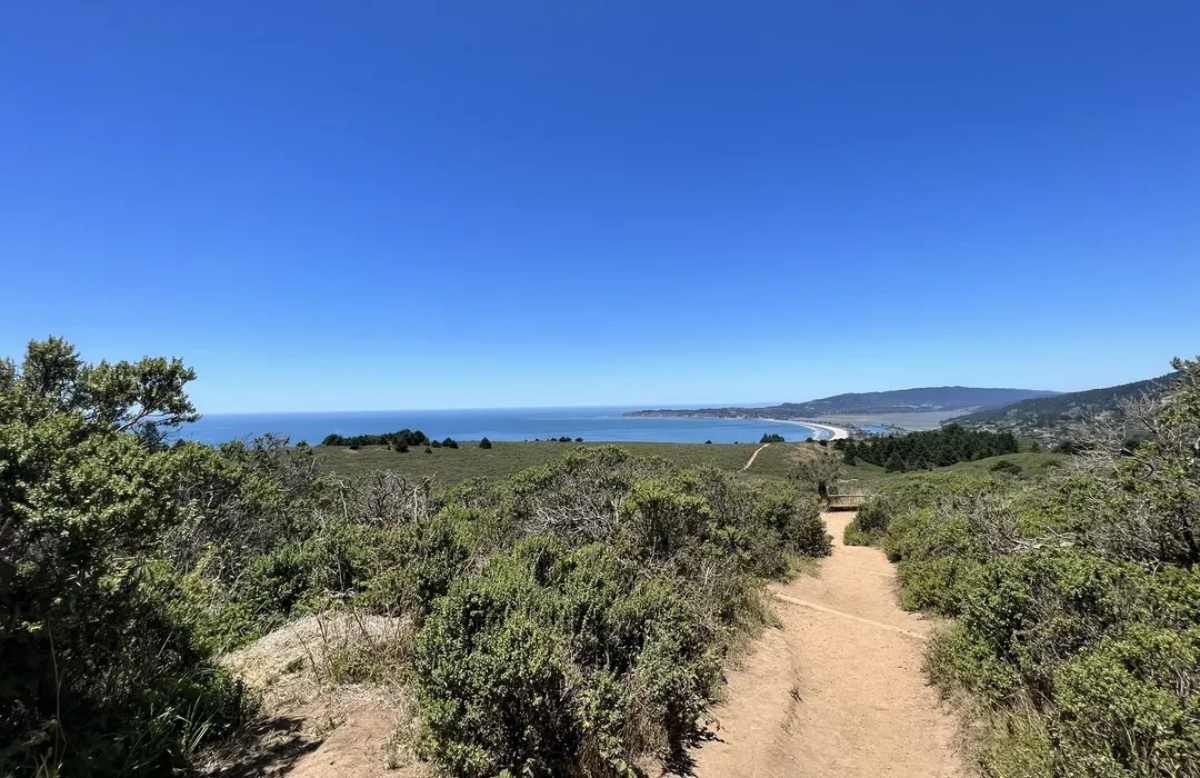 mount tamalpais state park