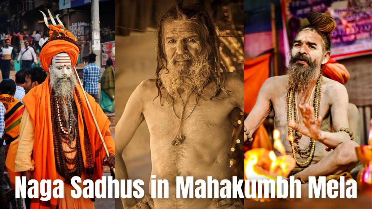 naga sadhus in mahakumbh mela