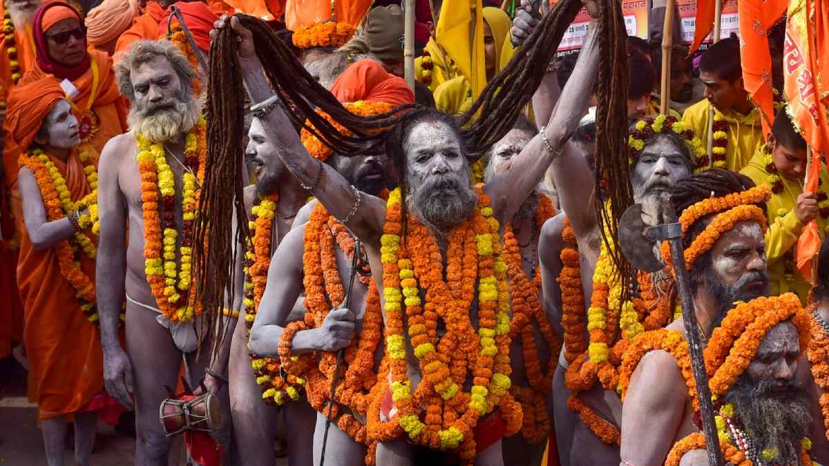 who are naga sadhus