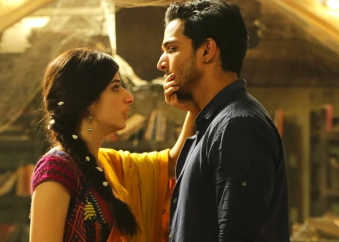 Sanam Teri Kasam Locations