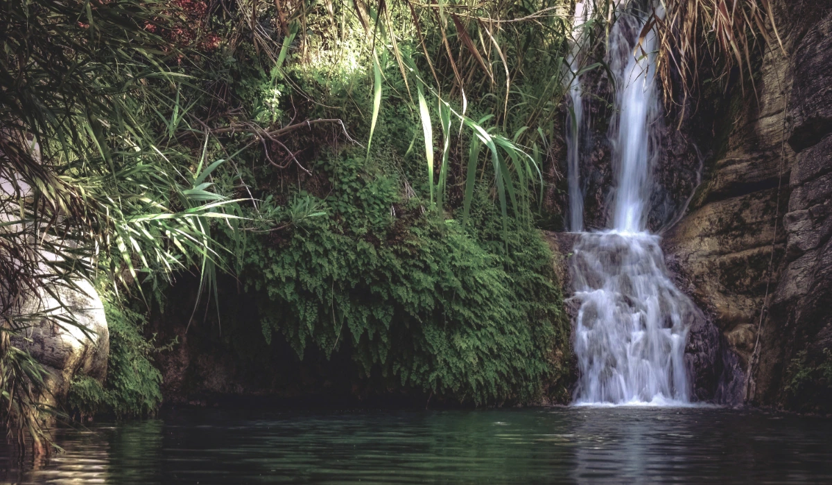 Sanvordem Waterfall