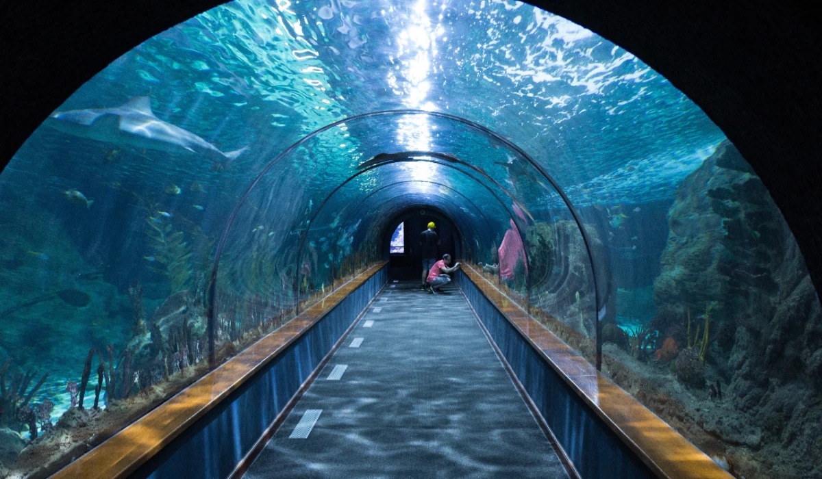 Underwater Aquarium In Bangalore