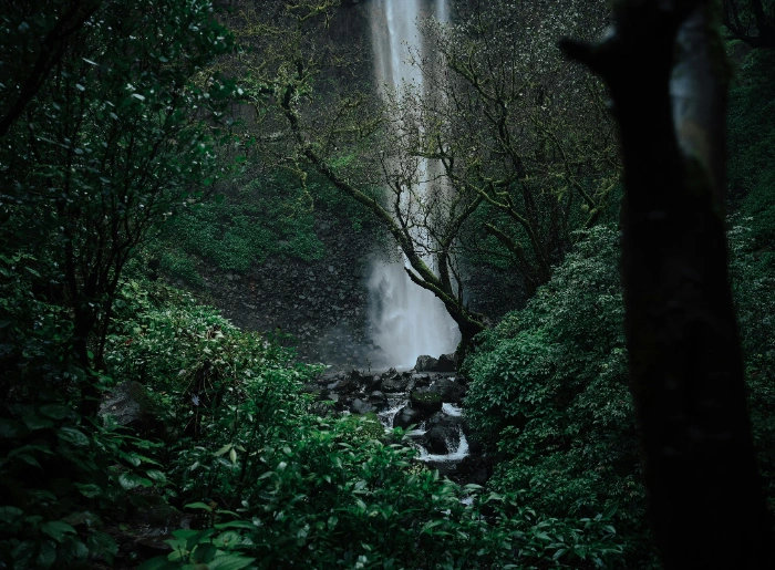 Weekend Getaways Near Pune During Monsoon: 8 Places Worth Visiting 5 Weekend Getaways Near Pune