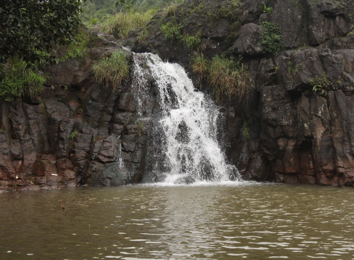 Monsoon Waterfalls You Can Reach By Train