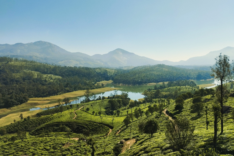 Mountain landscape in Munnar