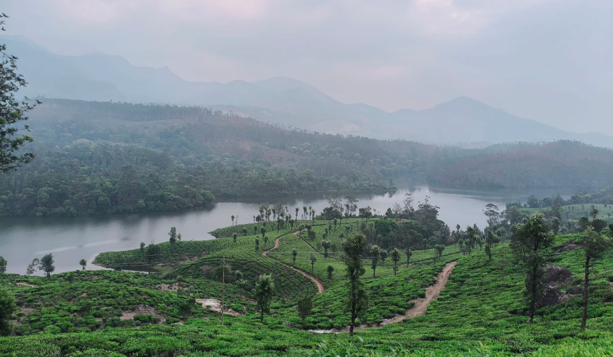 Munnar Travel Guide