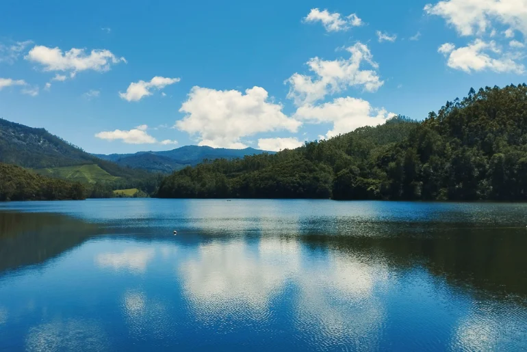 Munnar Travel Guide 