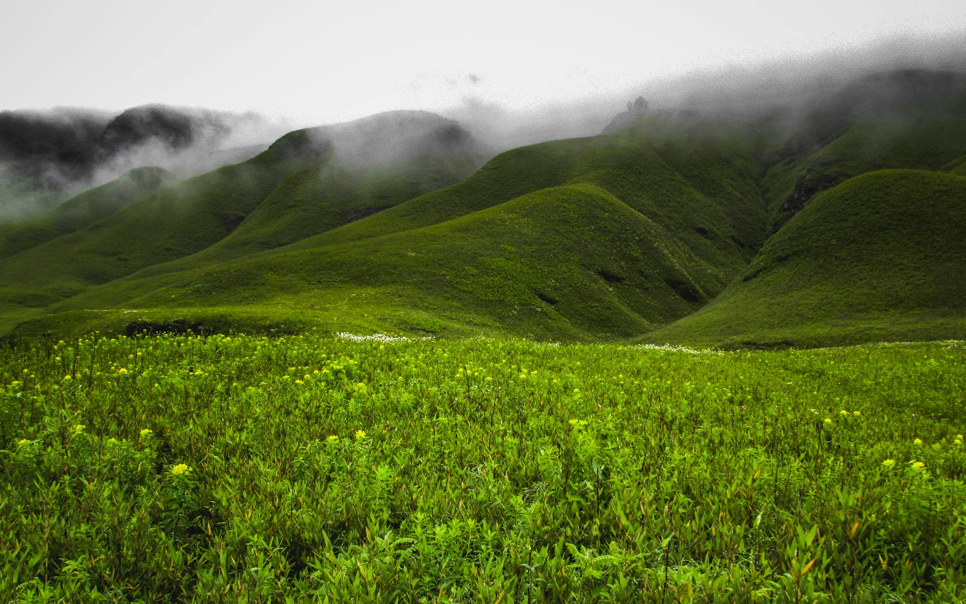 Northeast India