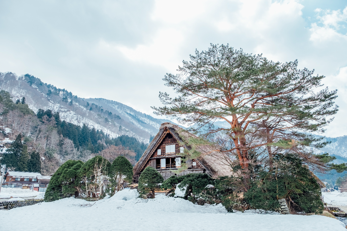 homestays in manali