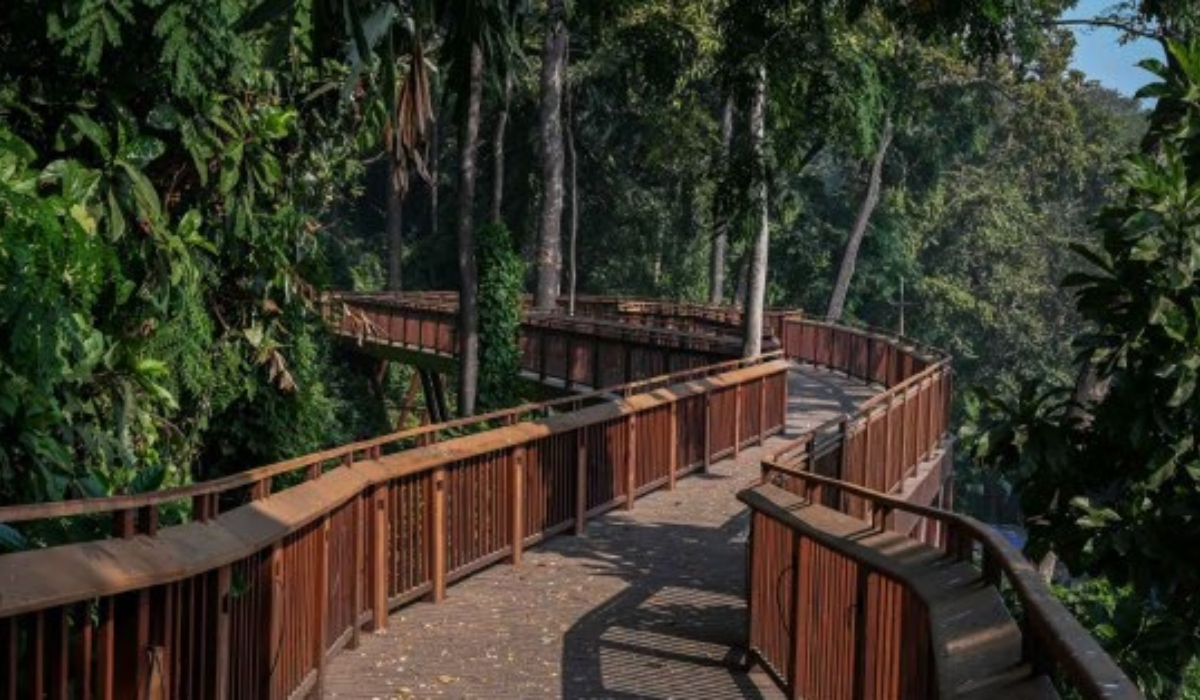 Malabar Hill Nature Trail