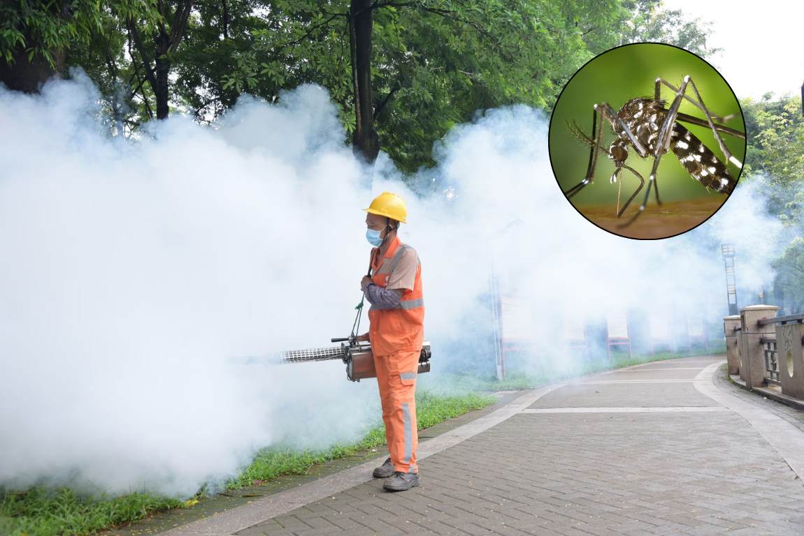 Chikungunya Outbreak 2025