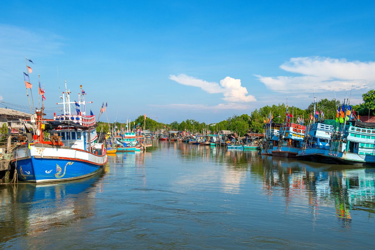 things to do in Kochi