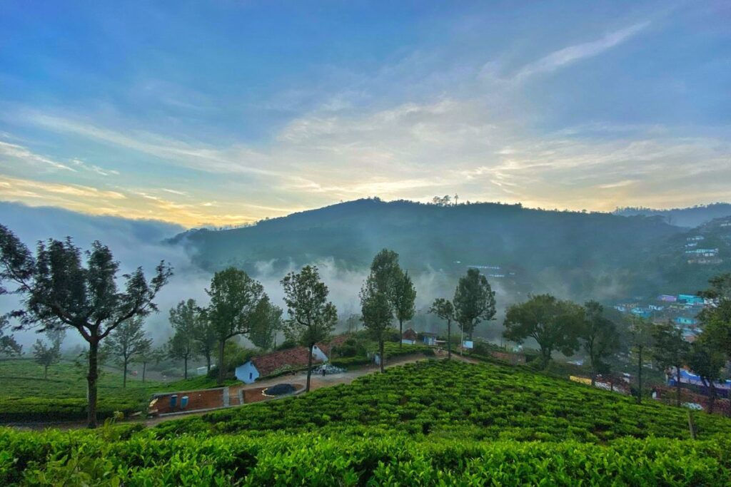 Ooty vs Coorg: Which Is Better For Your Next Hill Station Trip? 2 Ooty travel tips