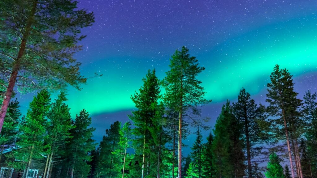 Finland Permanent Residence