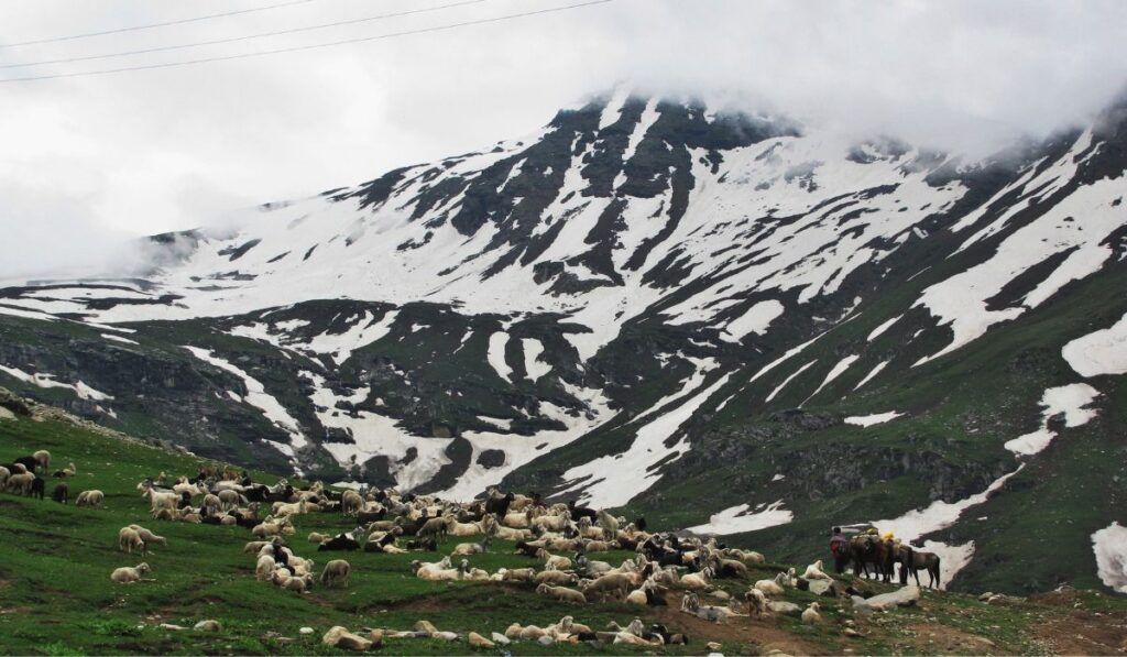 5 Best Snowfall Destinations In Himachal For October And November